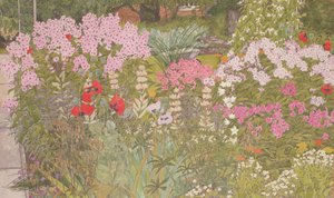 Pink Phlox in the Herbaceous Border by Linda Benton